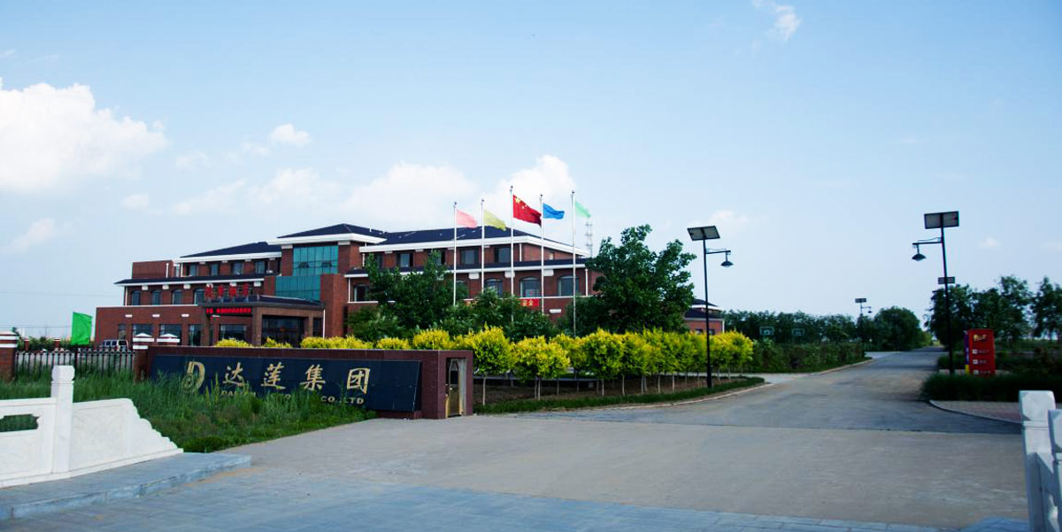 熱烈慶祝達(dá)蓮海參網(wǎng)站正式上線！