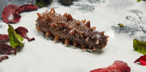 怎樣快速的區(qū)分淡干海參、鹽干海參和凍干海參？